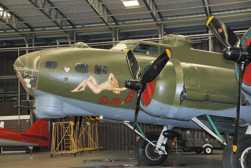 Sally B.jpg